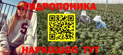 МДПВ Владикавказ