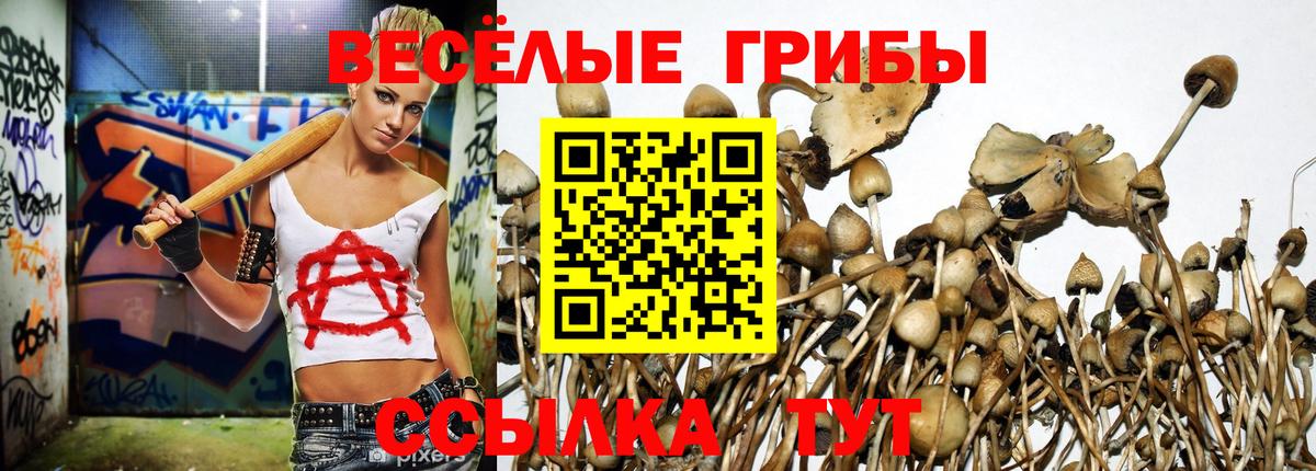 Галлюциногенные грибы ЛСД Ейск