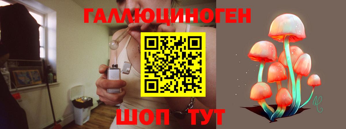 Псилоцибиновые грибы Cubensis  Вход с VPN  Ейск 